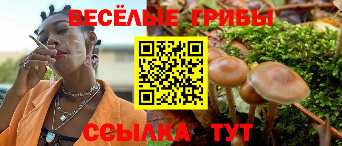 Псилоцибиновые грибы Cubensis  Вход с VPN  Старый Оскол 