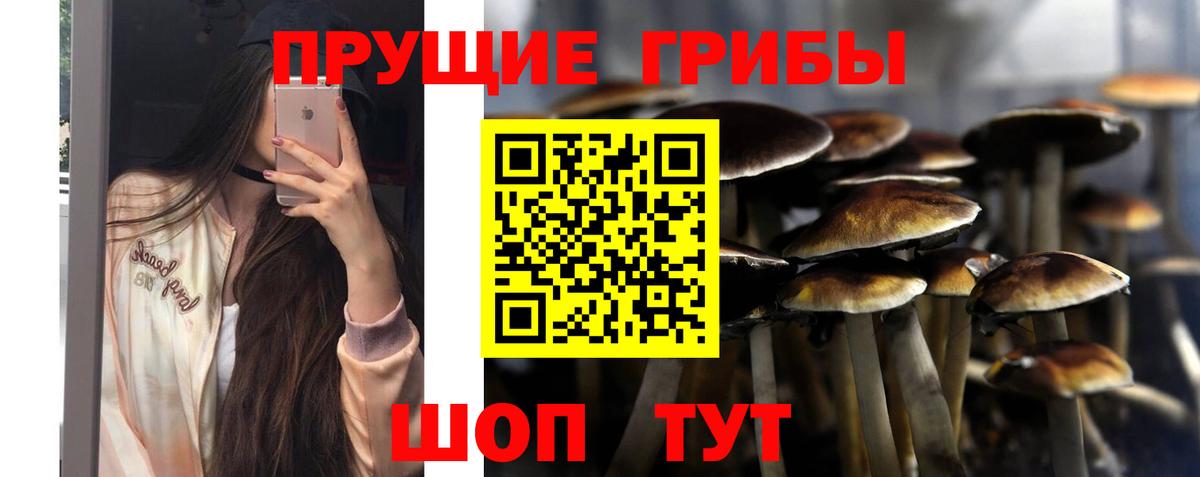 Псилоцибиновые грибы мицелий Старый Оскол